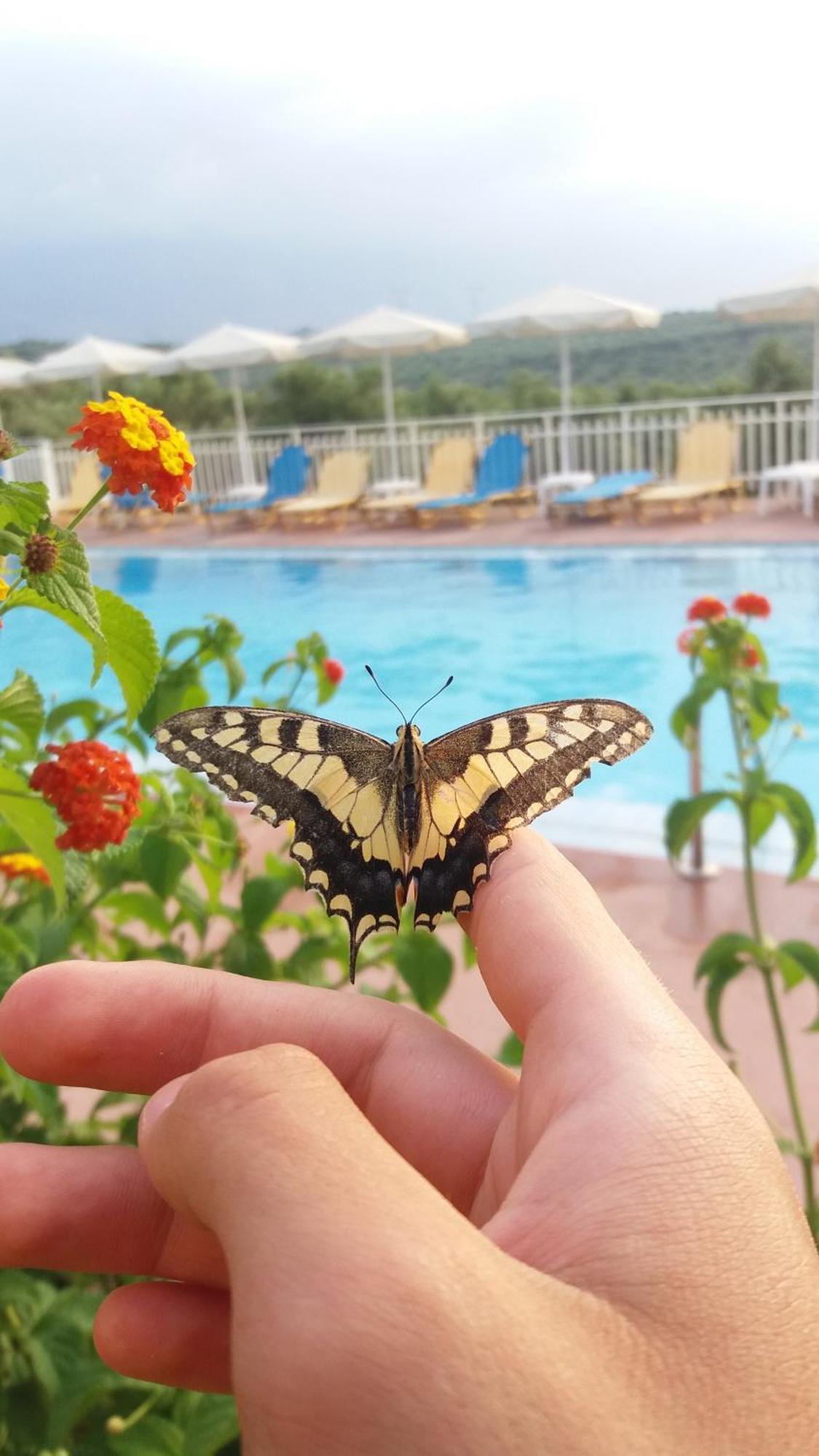 Calamon Apartments Episkopi-Chania Dış mekan fotoğraf