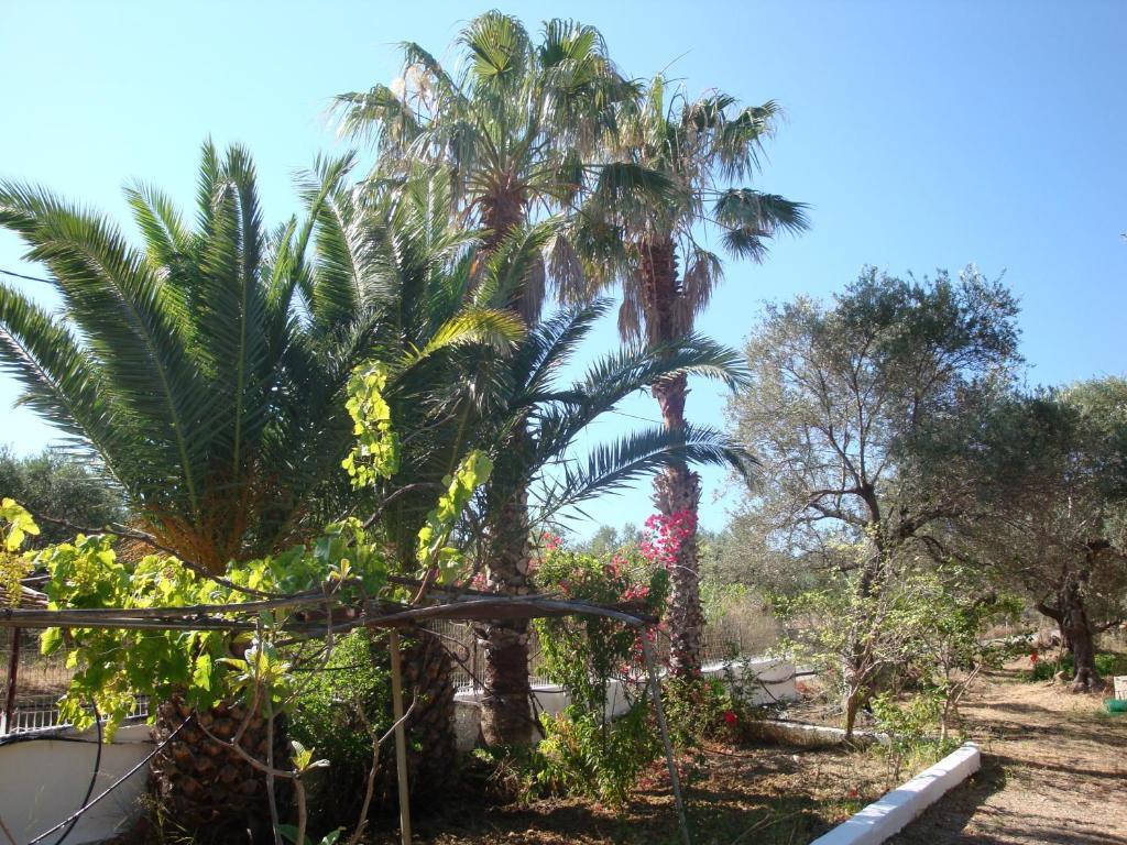 Calamon Apartments Episkopi-Chania Dış mekan fotoğraf
