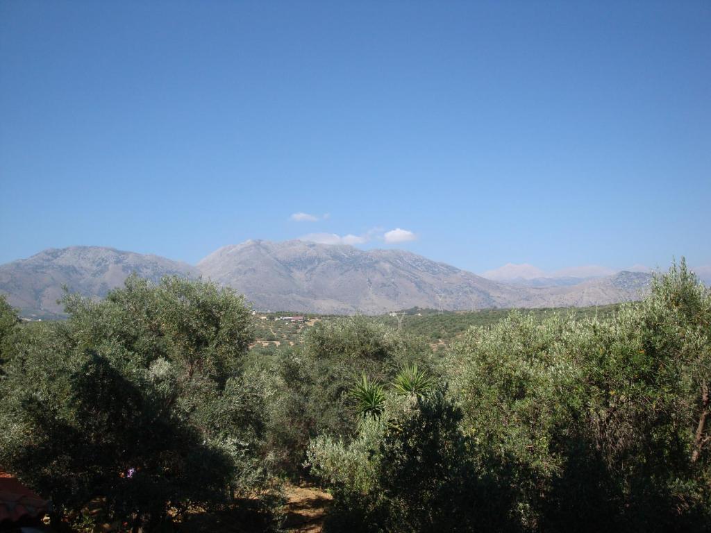 Calamon Apartments Episkopi-Chania Dış mekan fotoğraf