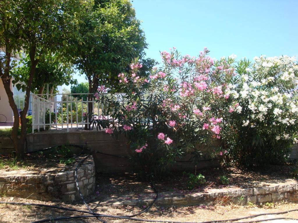 Calamon Apartments Episkopi-Chania Dış mekan fotoğraf