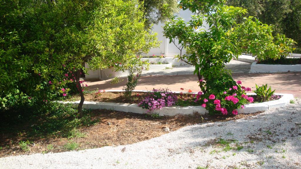 Calamon Apartments Episkopi-Chania Dış mekan fotoğraf