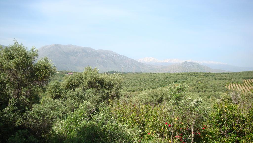 Calamon Apartments Episkopi-Chania Dış mekan fotoğraf