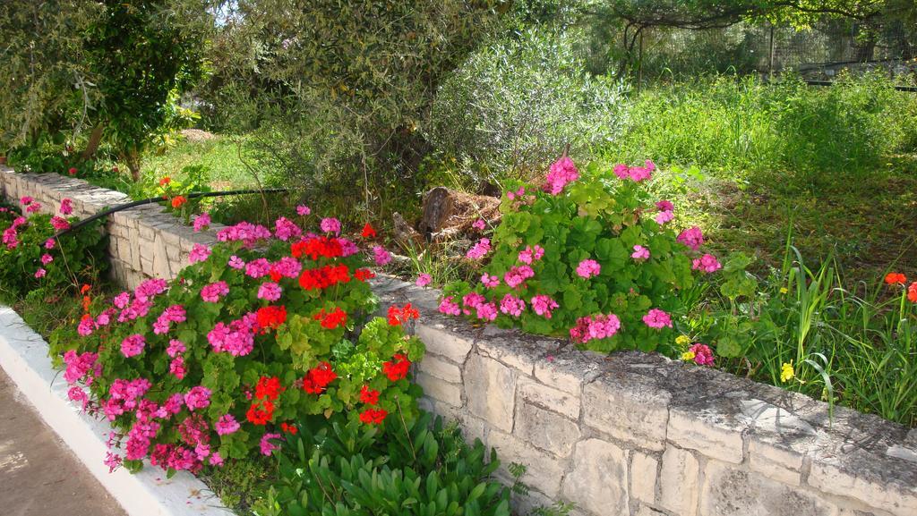Calamon Apartments Episkopi-Chania Dış mekan fotoğraf