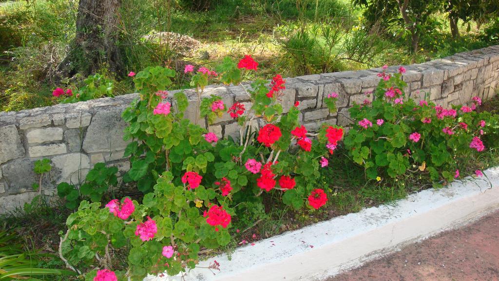 Calamon Apartments Episkopi-Chania Dış mekan fotoğraf