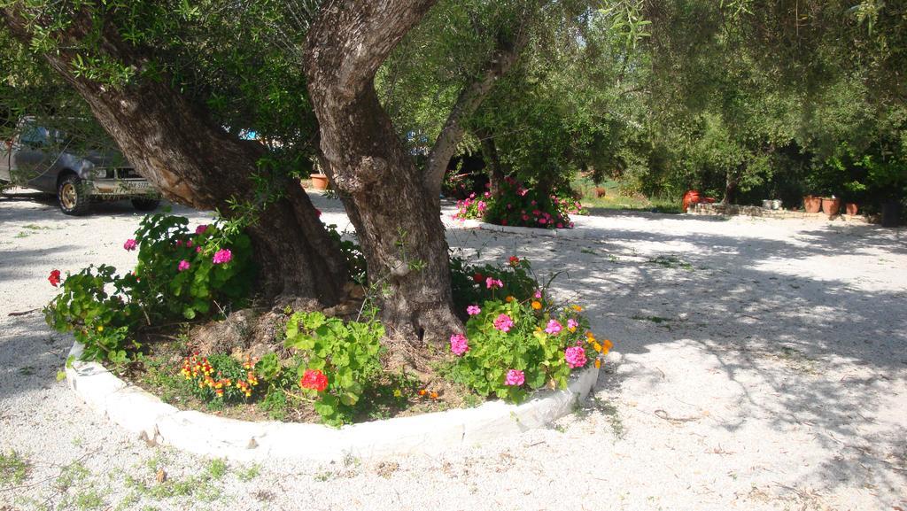 Calamon Apartments Episkopi-Chania Dış mekan fotoğraf
